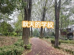 -南京信息职业技术学院