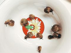 -南汇老顾农家乐采摘大团水蜜桃采摘店