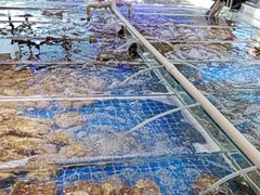 -四海蒸鲜蒸汽海鲜自助(北戴河店)