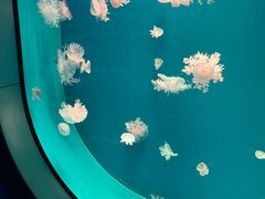 -福州罗源湾海洋世界旅游区