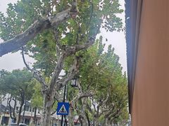 -苏州文庙(姑苏区)
