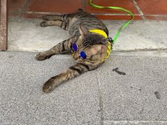 -槟城街头艺术街区