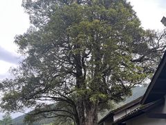 -毛泽东同志旧居
