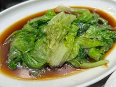 -老绍兴养和饭店(向阳不夜城店)