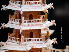 -绮丽珊瑚(台北101旗舰门市店)