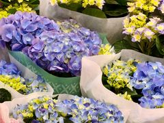 -双季花艺园艺市场(浦东店)