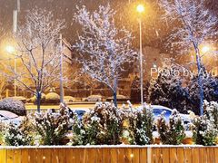 -丹江渔村(望京店)