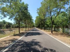 -北京鹿世界主题园