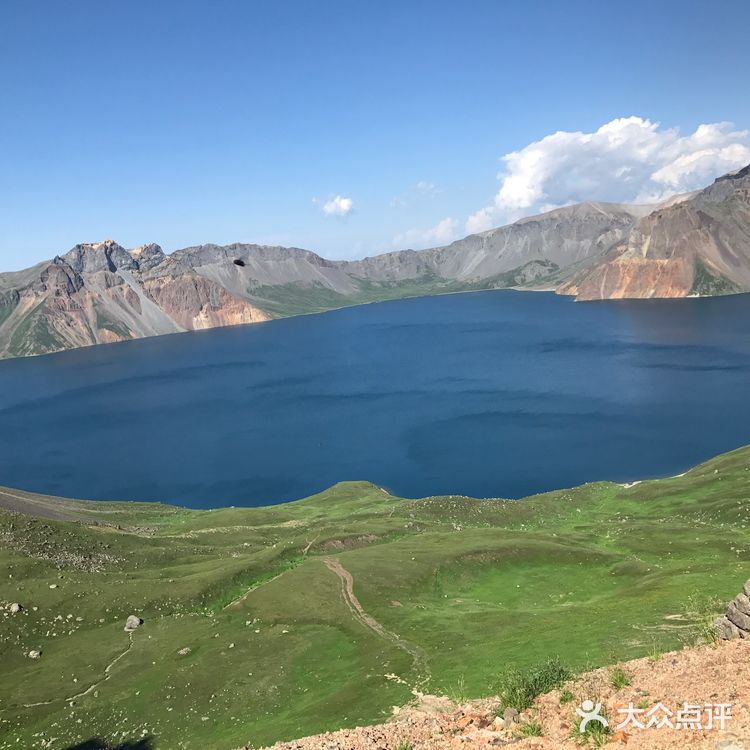 愿往后余生每天都是锦鲤