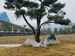 -萍乡武功山风景名胜区