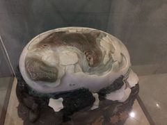 -中国西峡恐龙遗迹园