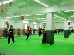 -武术世家少儿培训中心(首都体育学院店)