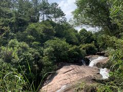 -广州白江湖森林公园