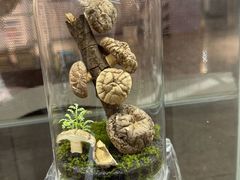 -广州神农草堂中医药博物馆