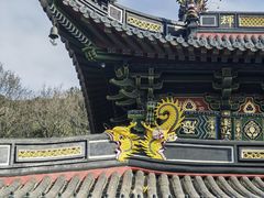 -普陀山风景名胜区-法雨禅寺