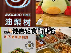 -油梨树 AVOCADO TREE(亮马桥店)