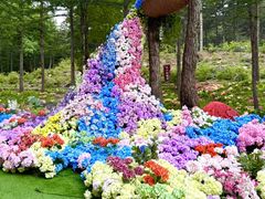 -洛阳白云山景区