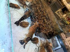 -Ministry of Crab(科伦坡店)