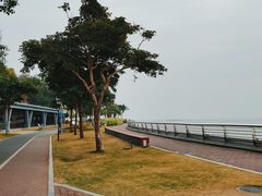 -野狸岛
