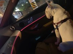 -上海星瀚奔驰4S店(红柳路店)