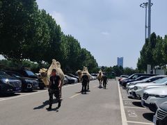 -西安华夏文旅水世界