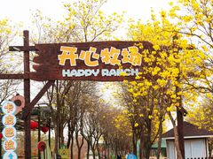 -盈香心动乐园