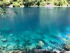 -叠溪松坪沟景区