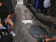 -蓉城西二道无名冒菜(西二道街店)