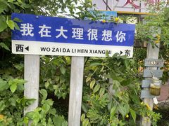 -大理洱海