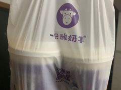 -一只酸奶牛(海南友谊阳光城店)