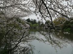 -西湖游船