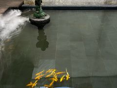 -觀芷隐轩
