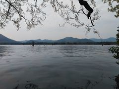 -西湖游船