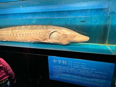 -国家自然博物馆