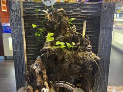 -巴犀烧烤(新崇光店)
