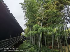 -大唐贡茶院