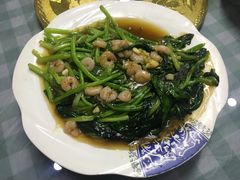 虾仁烧菠菜-老健康贾姨原味馆