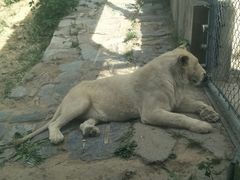 -石家庄市动物园