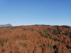 -山王坪喀斯特国家生态公园