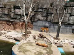 -骏丰国际财富广场·停车场