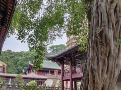 -南华禅寺