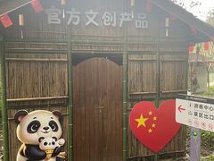 -都江堰中华大熊猫苑