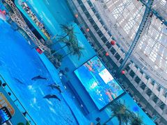 -海合安成都极地海洋公园