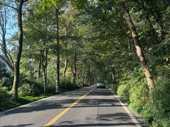 -野蔓果·山野菜(西湖景区·龙井茶田店)