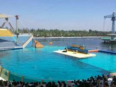 -秦皇岛乐岛海洋王国