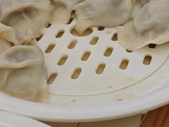-东北饺子馆(马尾君竹店)