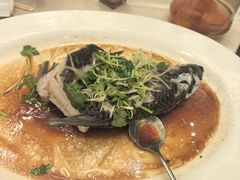 -沙龙酒家