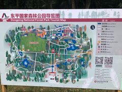 -东平国家森林公园