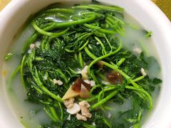 鲮鱼丸西洋菜汤-区海鸡场饭店(石壁店)