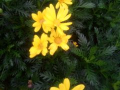 -普陀山风景名胜区-法雨禅寺